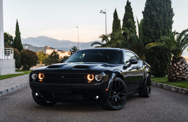Прокат Dodge Challenger GT Blue в Horse Car