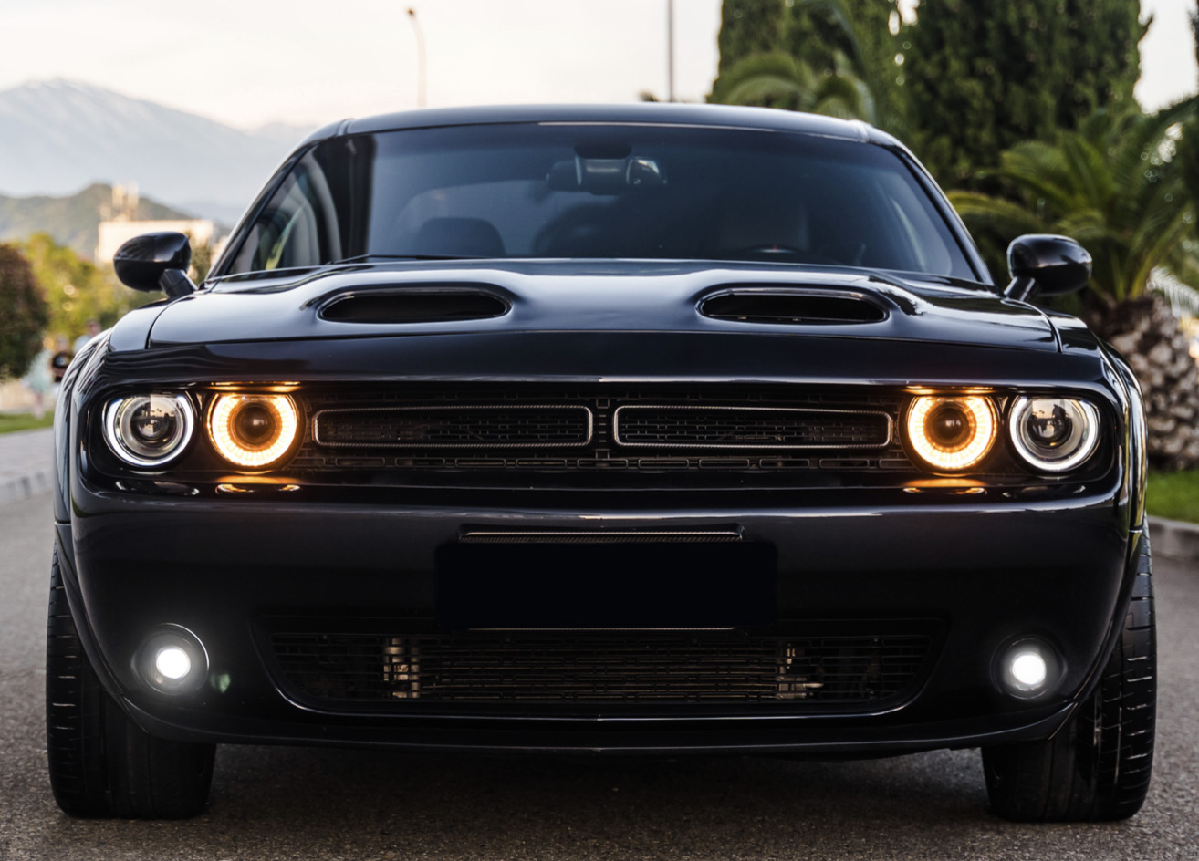 Сотрудничество