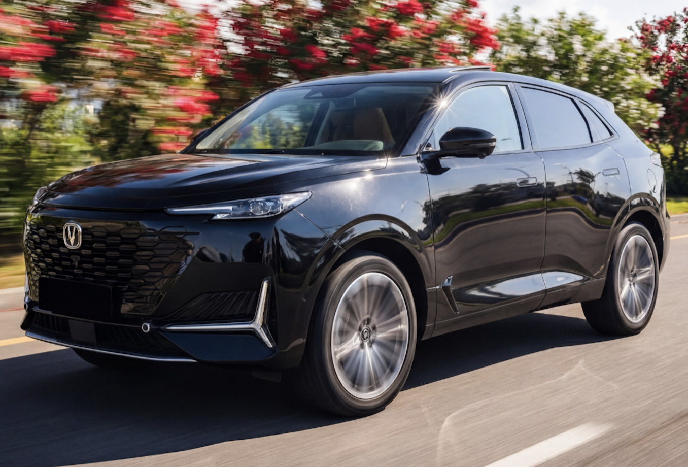 Сотрудничество