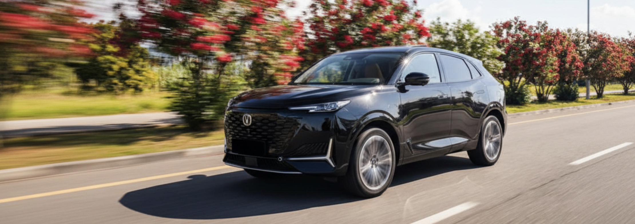 Сотрудничество