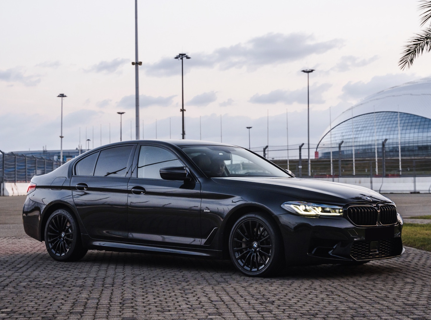 Сотрудничество